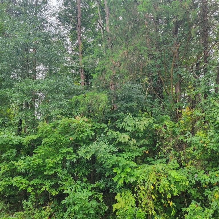 0 Ambridge Drive Property Photo 1