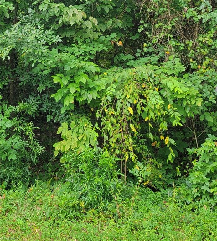 0 Ambridge Drive Property Photo 1