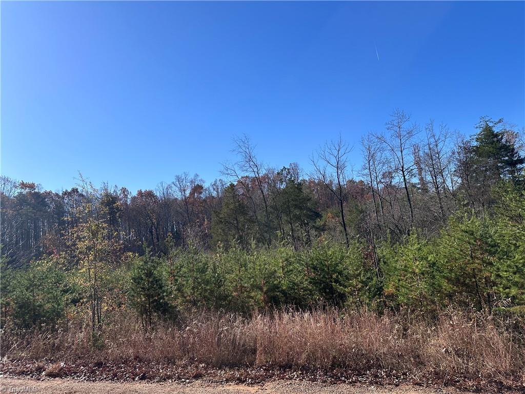 5 Stephens Trail Road Property Photo 2