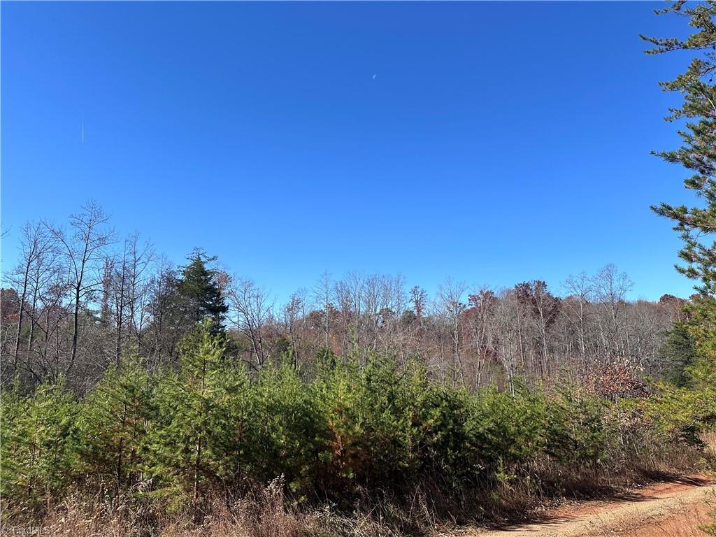 5 Stephens Trail Road Property Photo 3