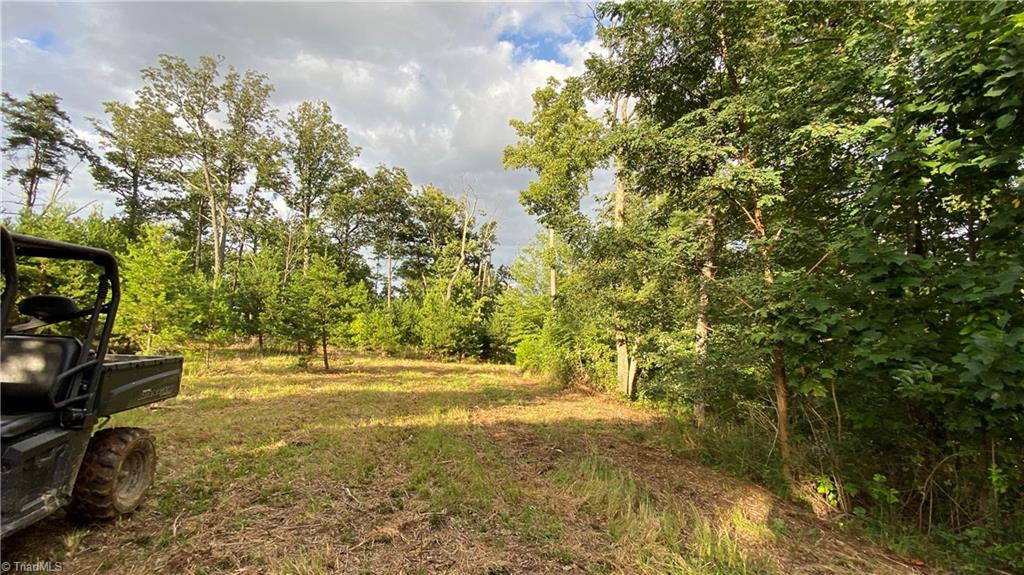 Tbd Scout Road Property Photo 7