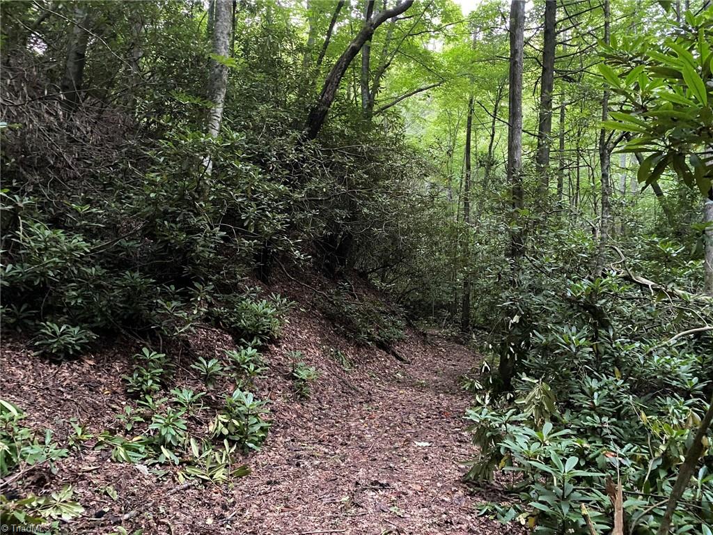 Tbd Scout Road Property Photo 8