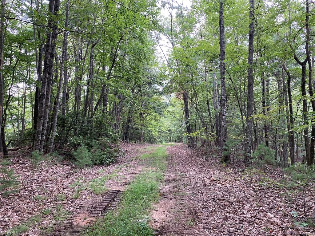 Tbd Scout Road Property Photo 12