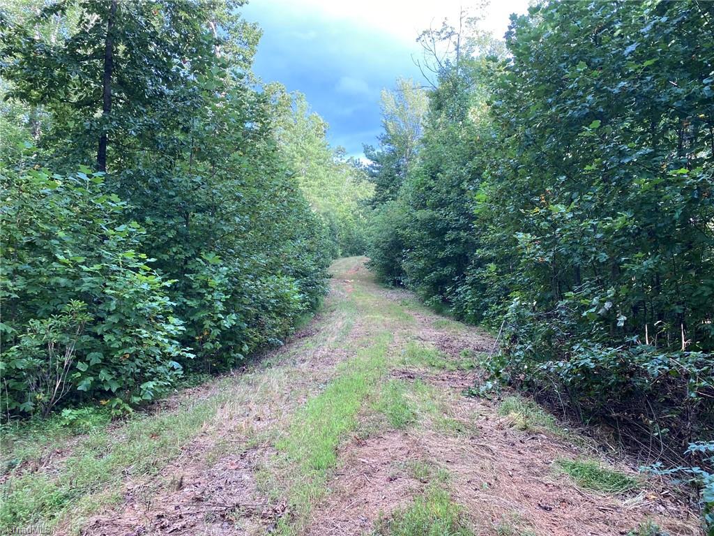 Tbd Scout Road Property Photo 13