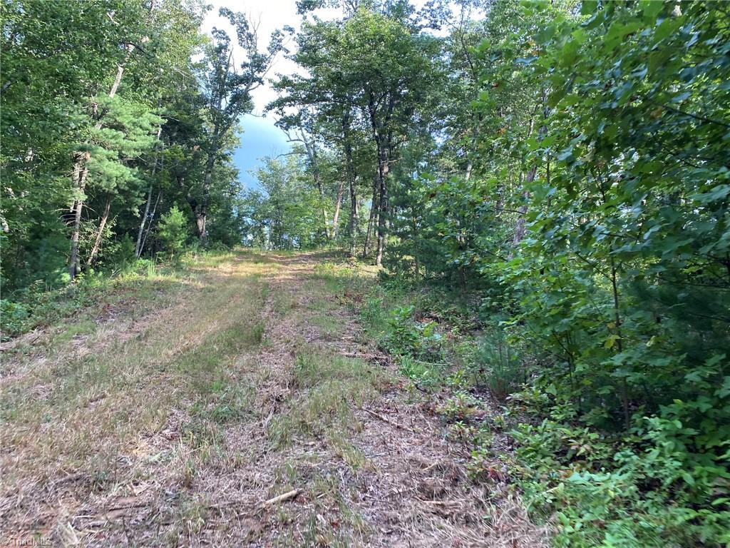 Tbd Scout Road Property Photo 14