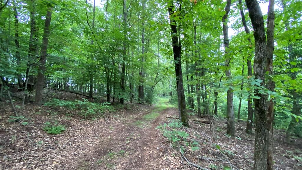 Tbd Scout Road Property Photo 16