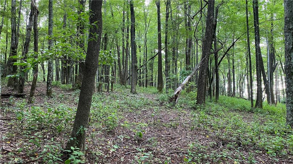Tbd Scout Road Property Photo 17