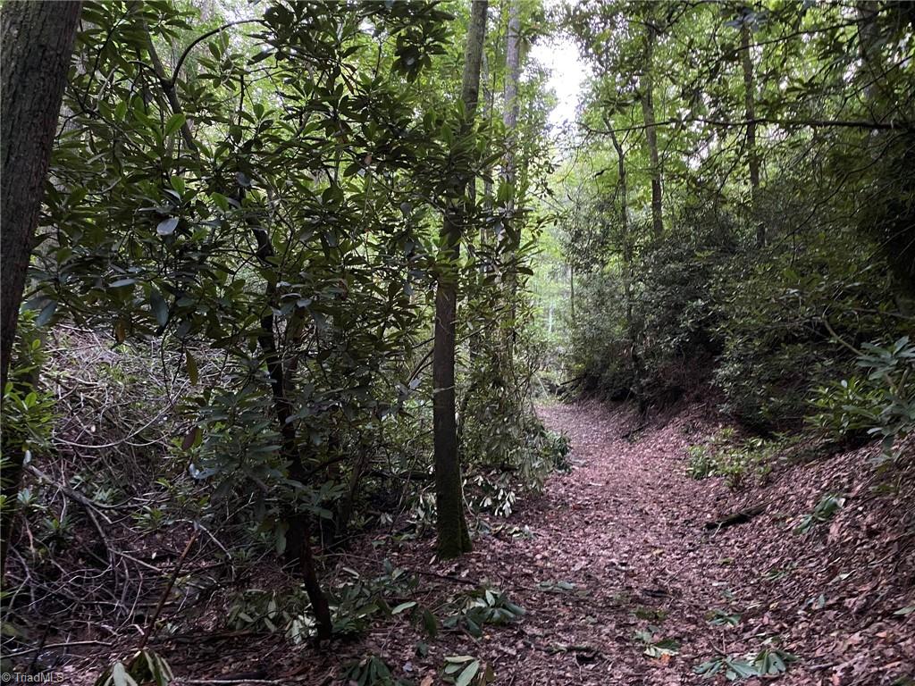 Tbd Scout Road Property Photo 18