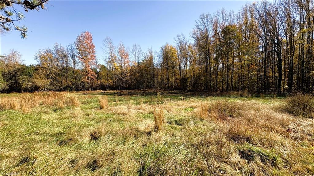 3.1 Ac +/- Long Valley Road Property Photo 8
