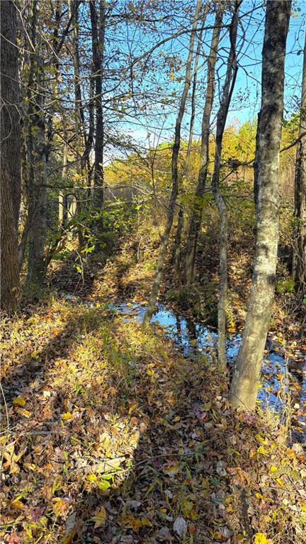 3.1 Ac +/- Long Valley Road Property Photo 10