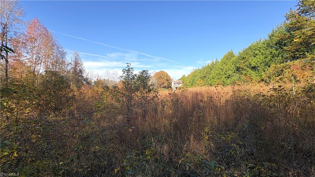 3.1 Ac +/- Long Valley Road Property Photo 11