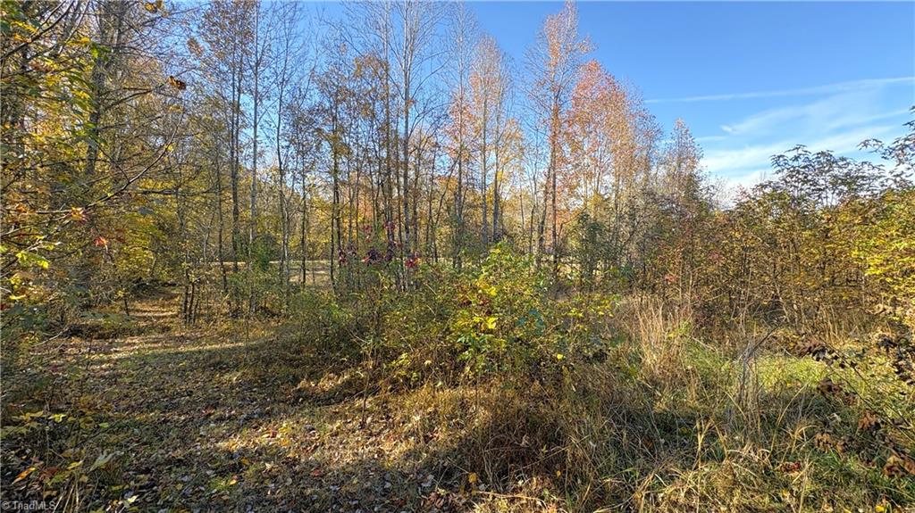 3.1 Ac +/- Long Valley Road Property Photo 12