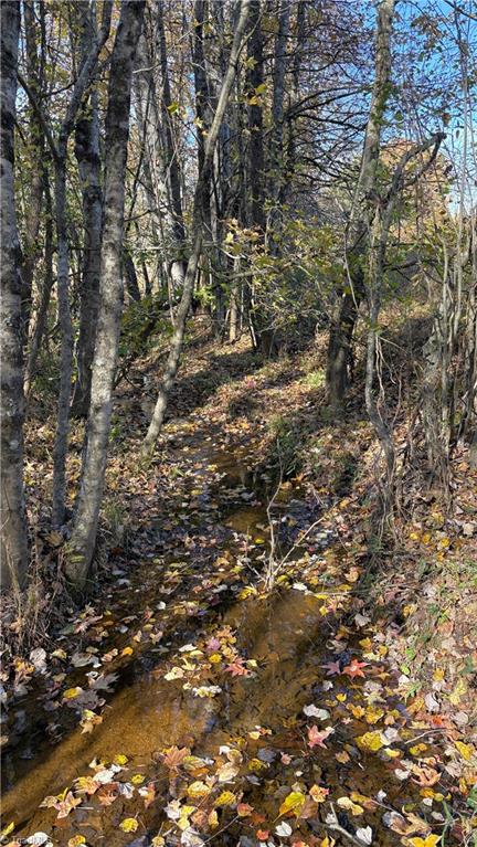 3.1 Ac +/- Long Valley Road Property Photo 13