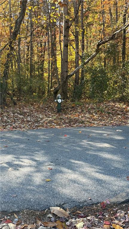 3.1 Ac +/- Long Valley Road Property Photo 19
