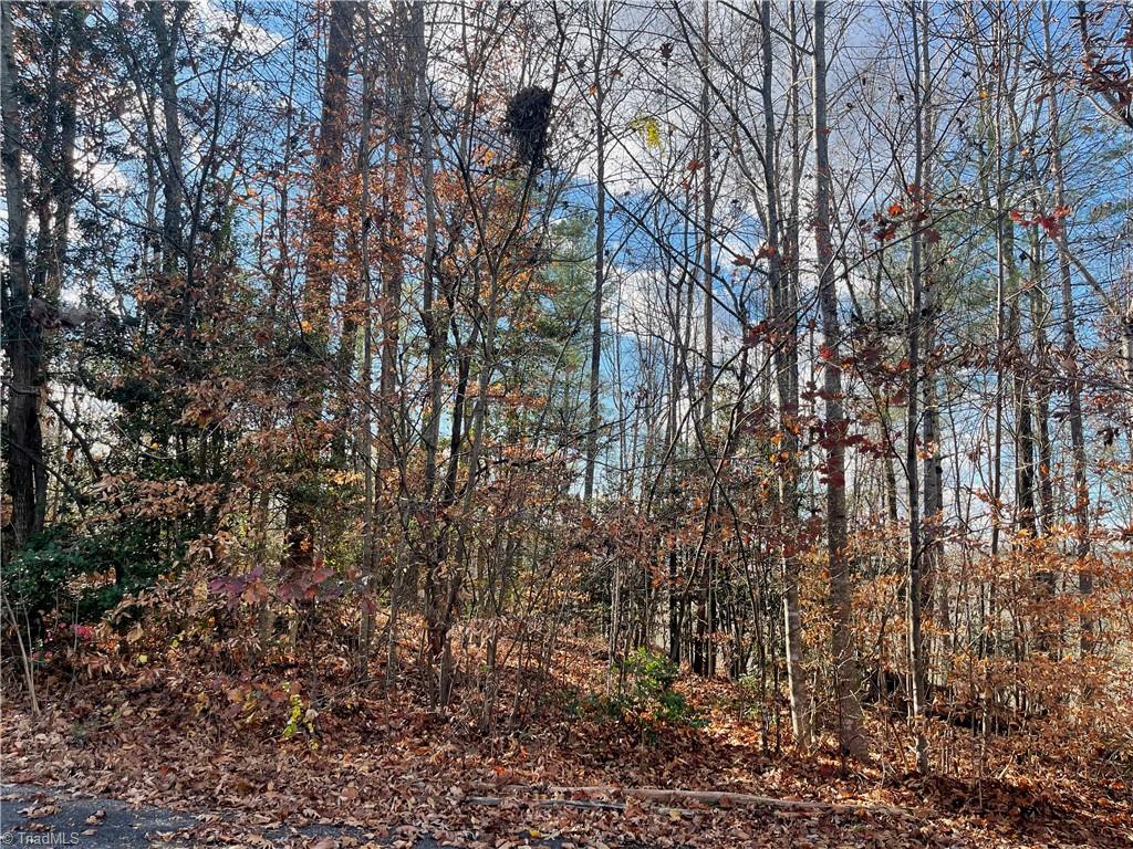 Lot 4 Longview Drive Property Photo 1