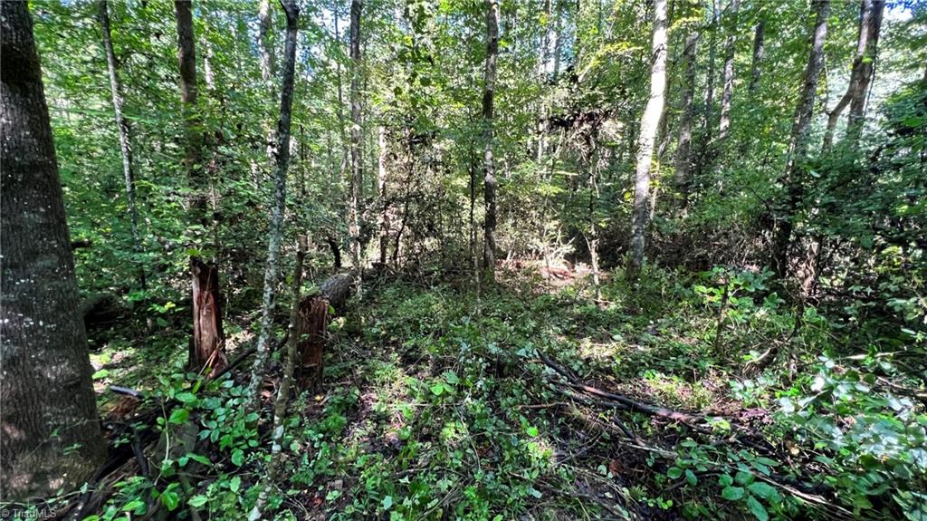 Tbd2 Barlowe Place Property Photo 12