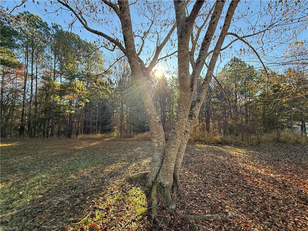 277 Riverhills Trail Property Photo 5