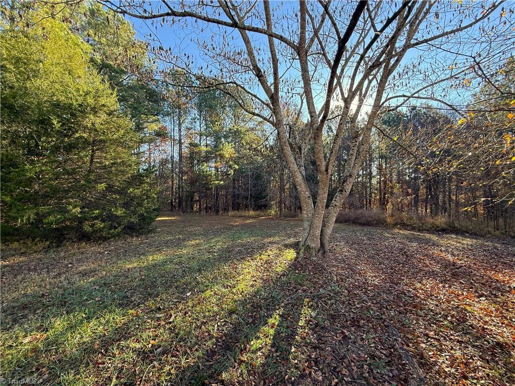 277 Riverhills Trail Property Photo 6