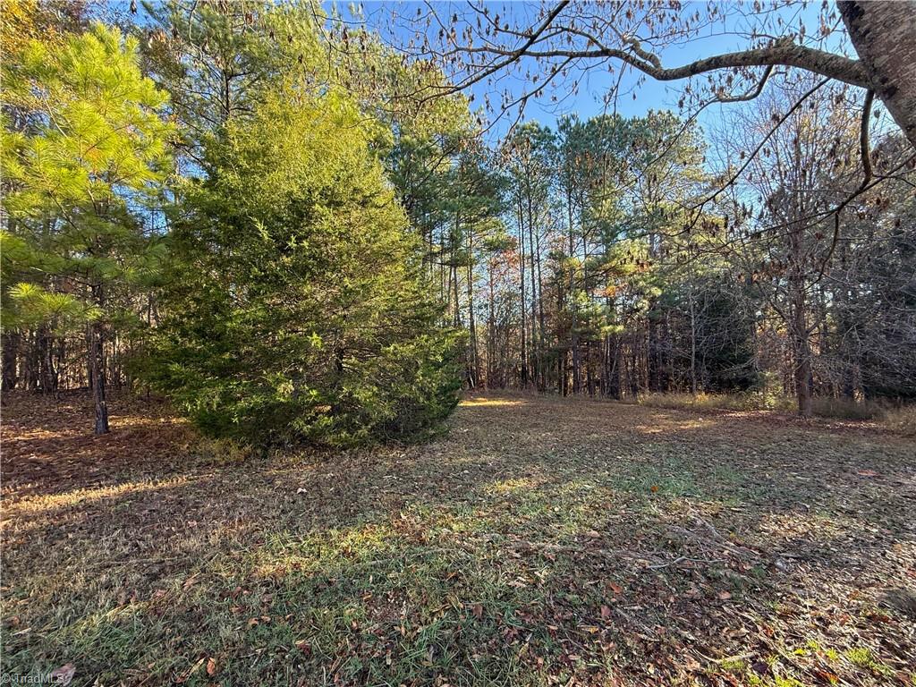 277 Riverhills Trail Property Photo 7