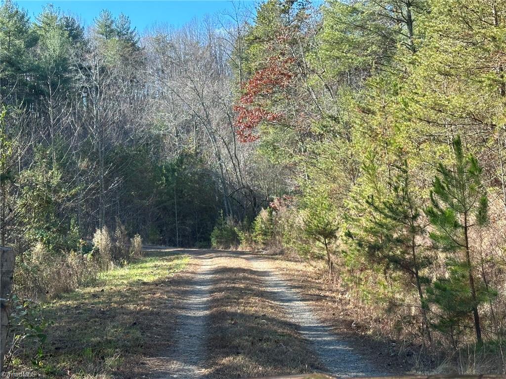 Tbd2 Scout Road Property Photo 6