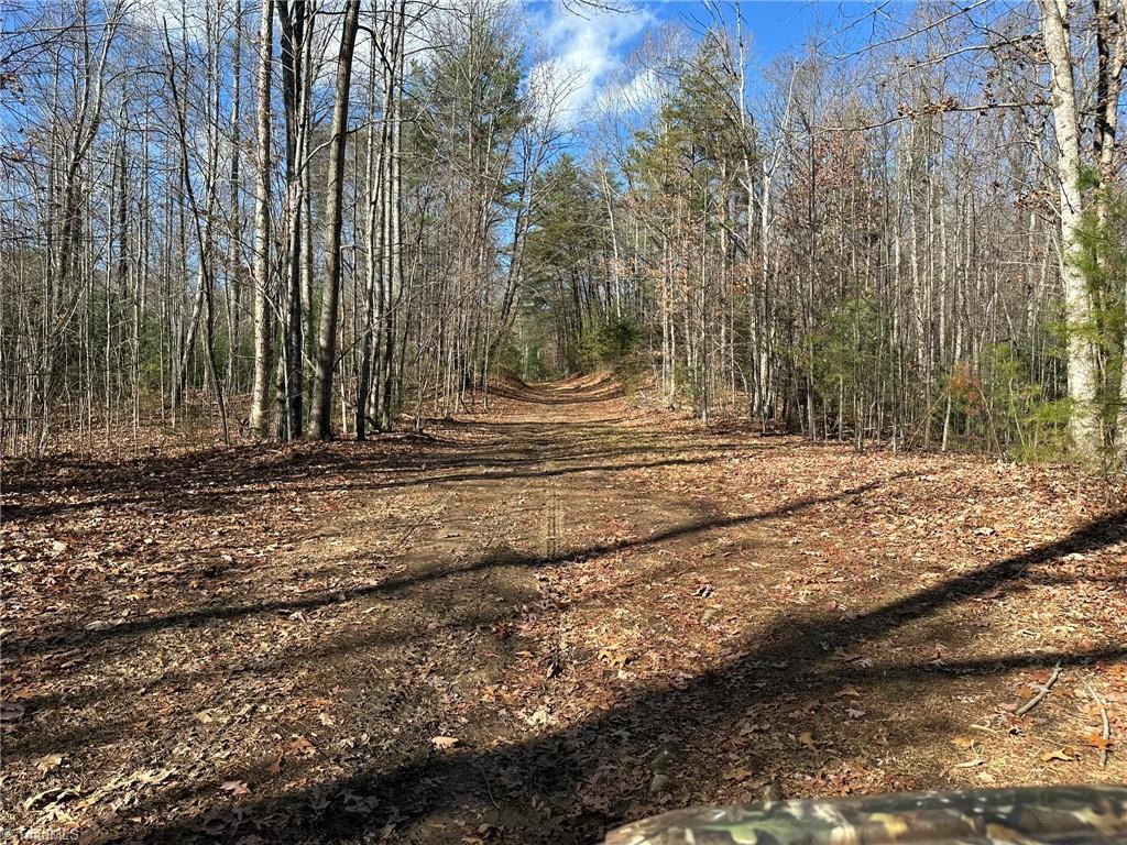 Tbd2 Scout Road Property Photo 10