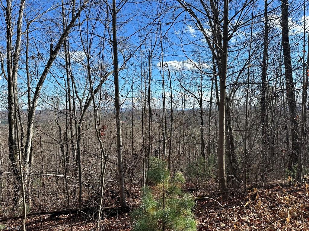 Tbd2 Scout Road Property Photo 12