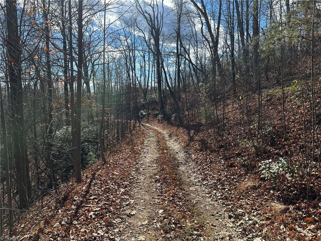 Tbd2 Scout Road Property Photo 14