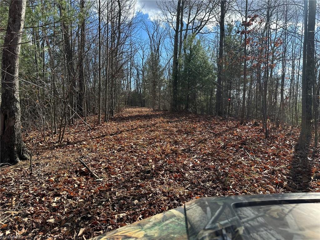 Tbd2 Scout Road Property Photo 15