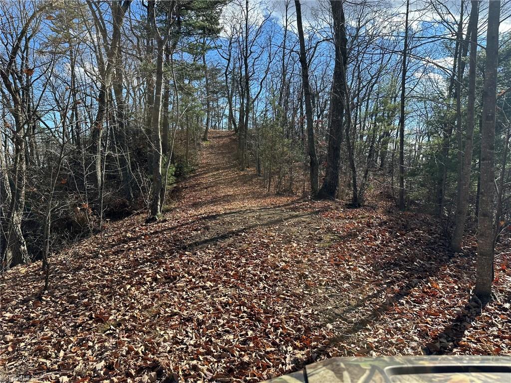 Tbd2 Scout Road Property Photo 16