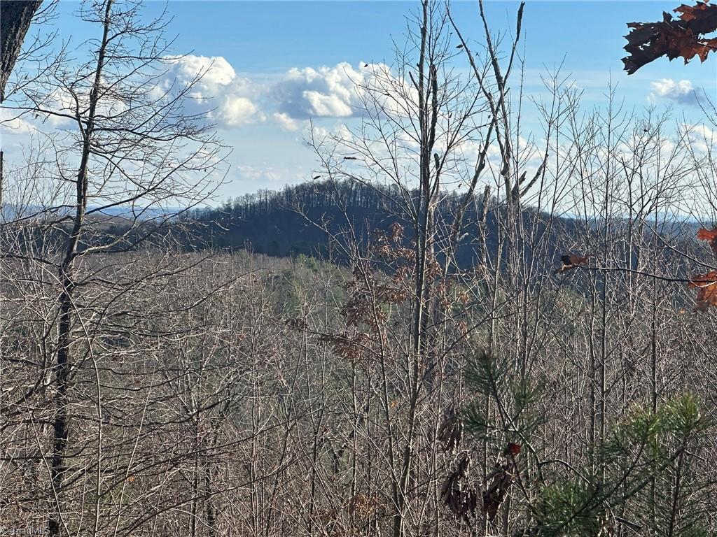 Tbd2 Scout Road Property Photo 17
