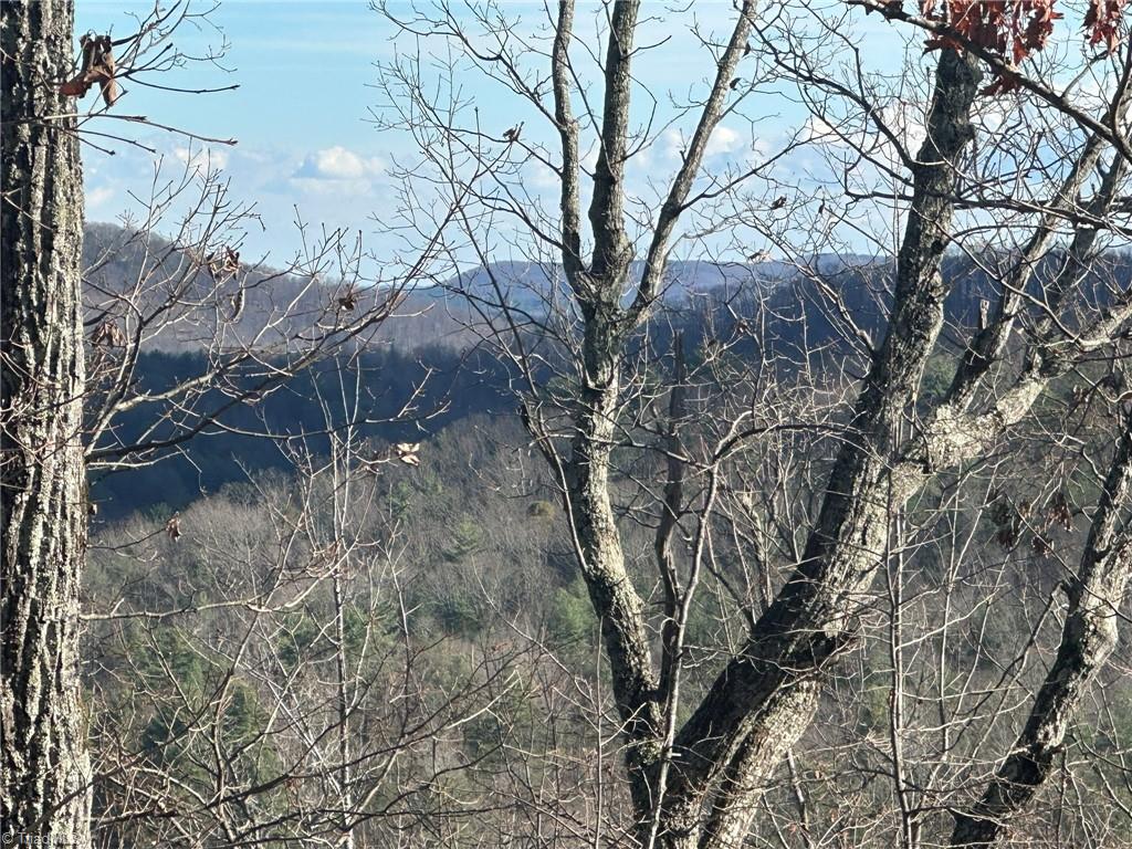 Tbd2 Scout Road Property Photo 19