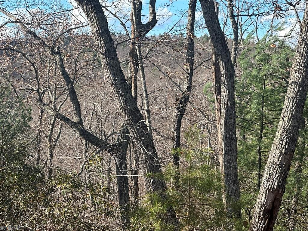 Tbd2 Scout Road Property Photo 21