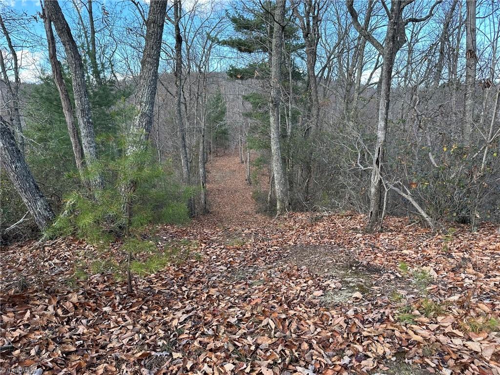 Tbd2 Scout Road Property Photo 23