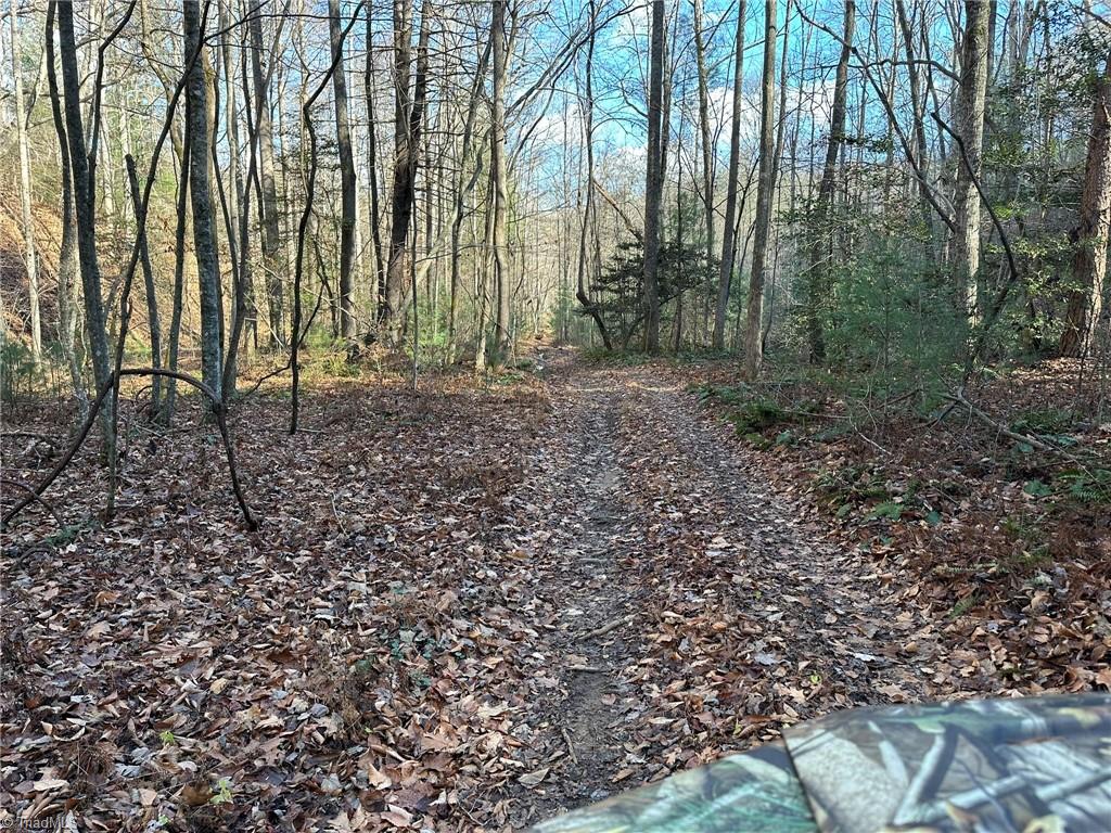 Tbd2 Scout Road Property Photo 25