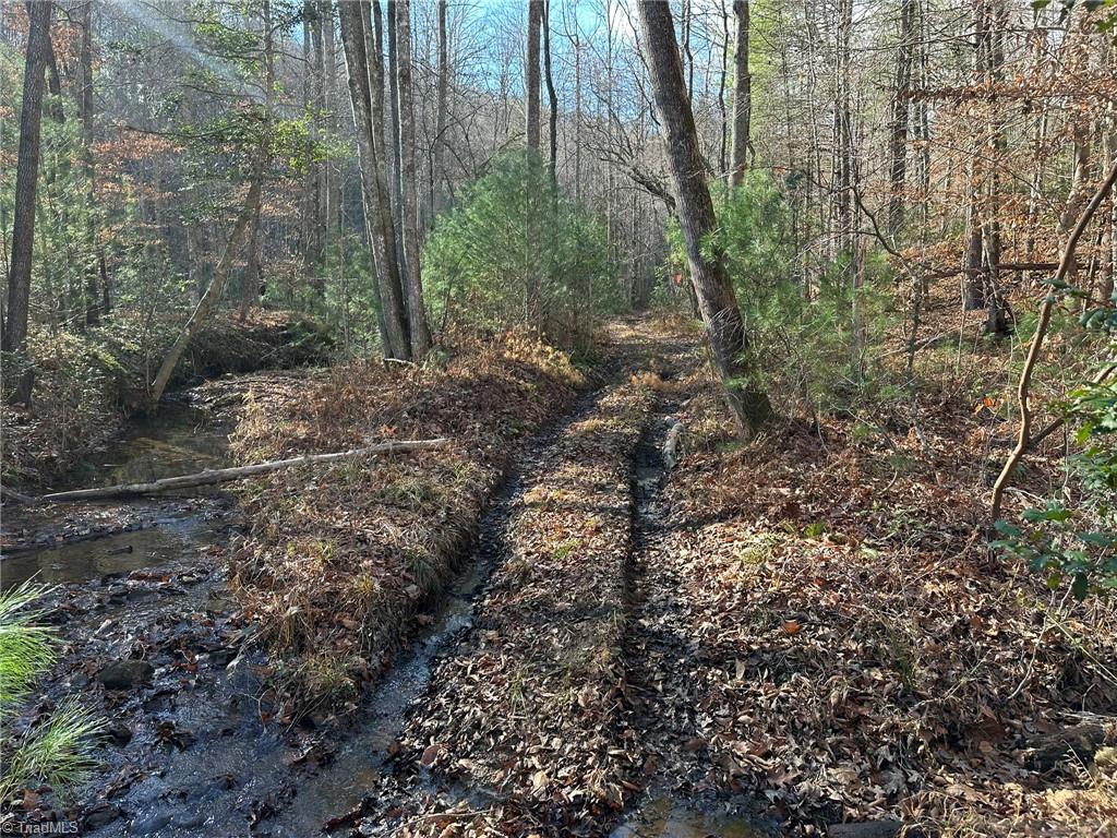 Tbd2 Scout Road Property Photo 26