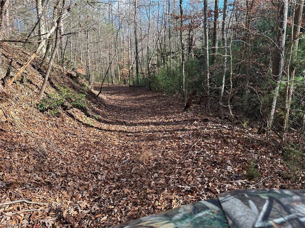 Tbd2 Scout Road Property Photo 29
