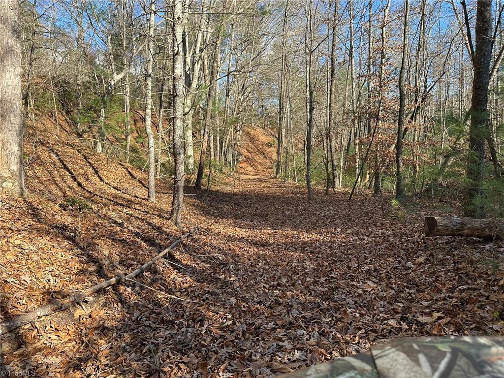 Tbd2 Scout Road Property Photo 33