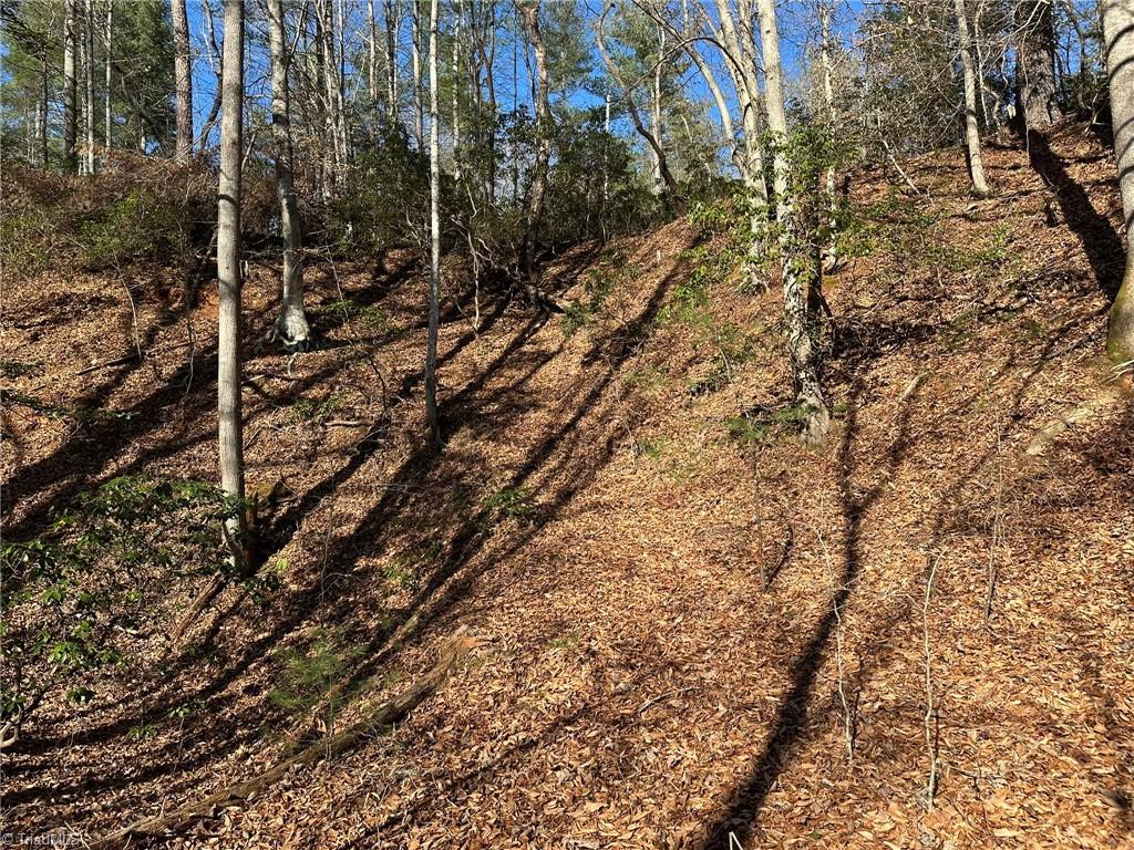 Tbd2 Scout Road Property Photo 34