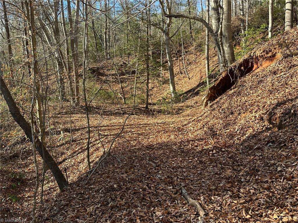 Tbd2 Scout Road Property Photo 37