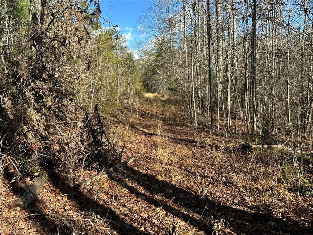 Tbd2 Scout Road Property Photo 38