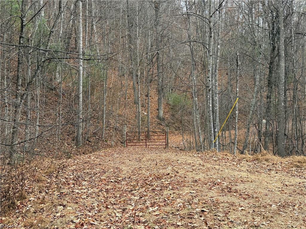 Lot 218 Casey Mountain Road Property Photo 6