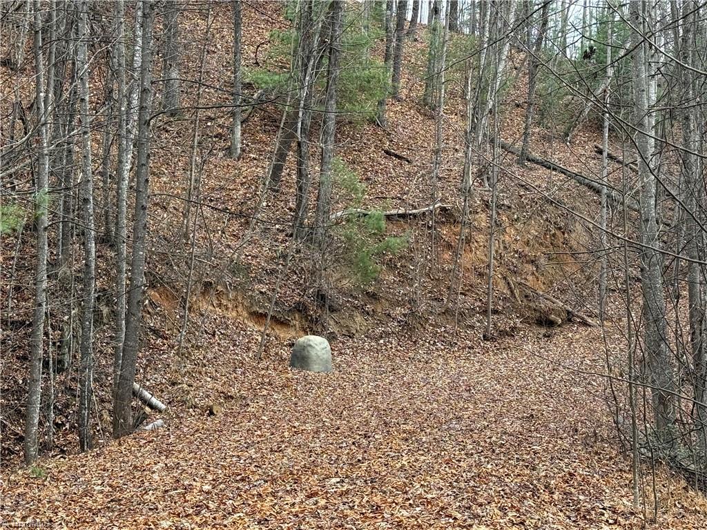 Lot 218 Casey Mountain Road Property Photo 7