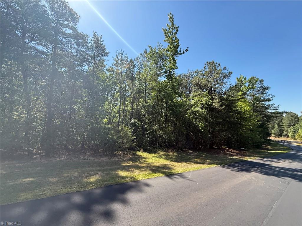 114 Lake View Pass Property Photo 8
