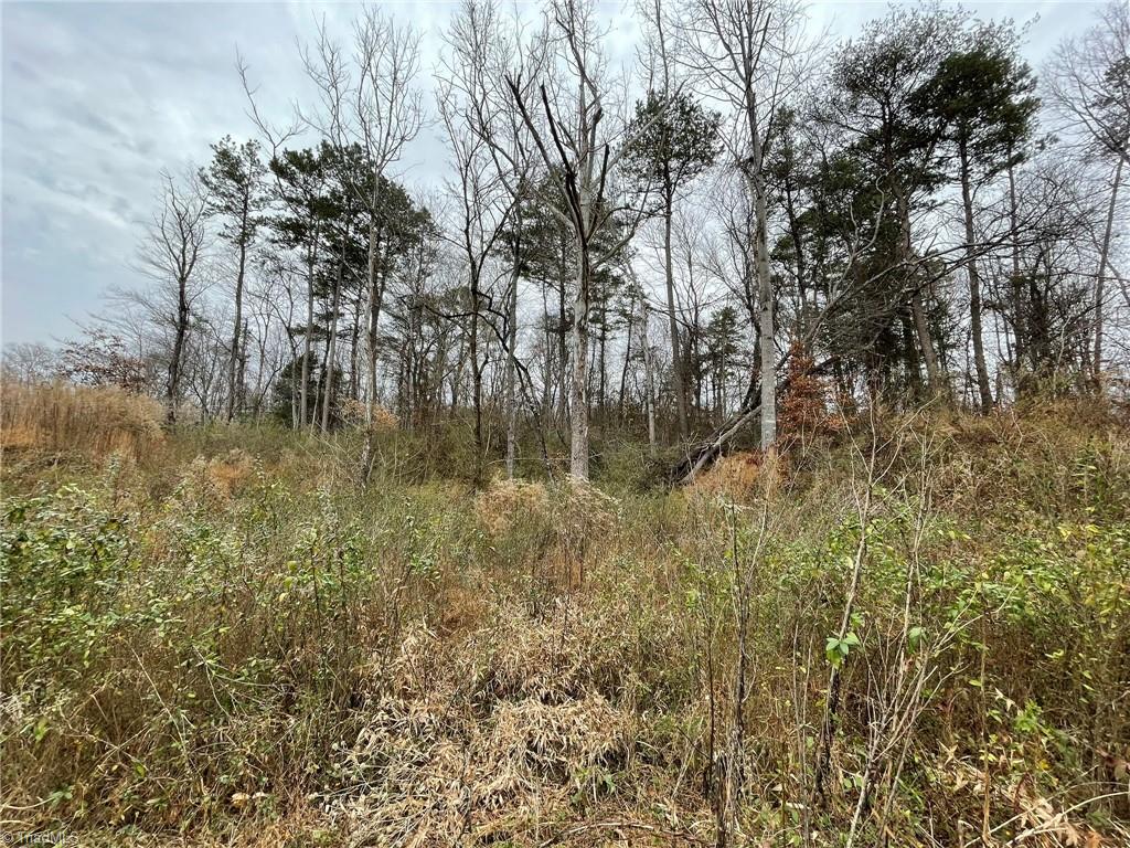 Tbd-000 E Main Street Property Photo 10