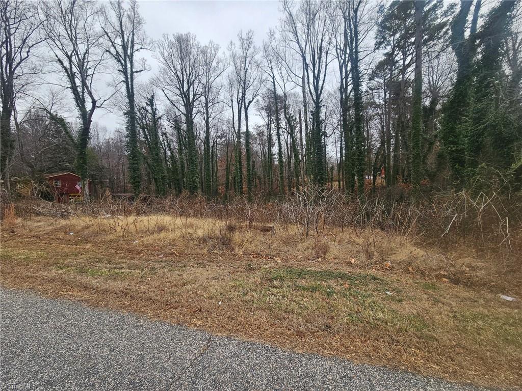 0 Chesapeake Drive Property Photo 1