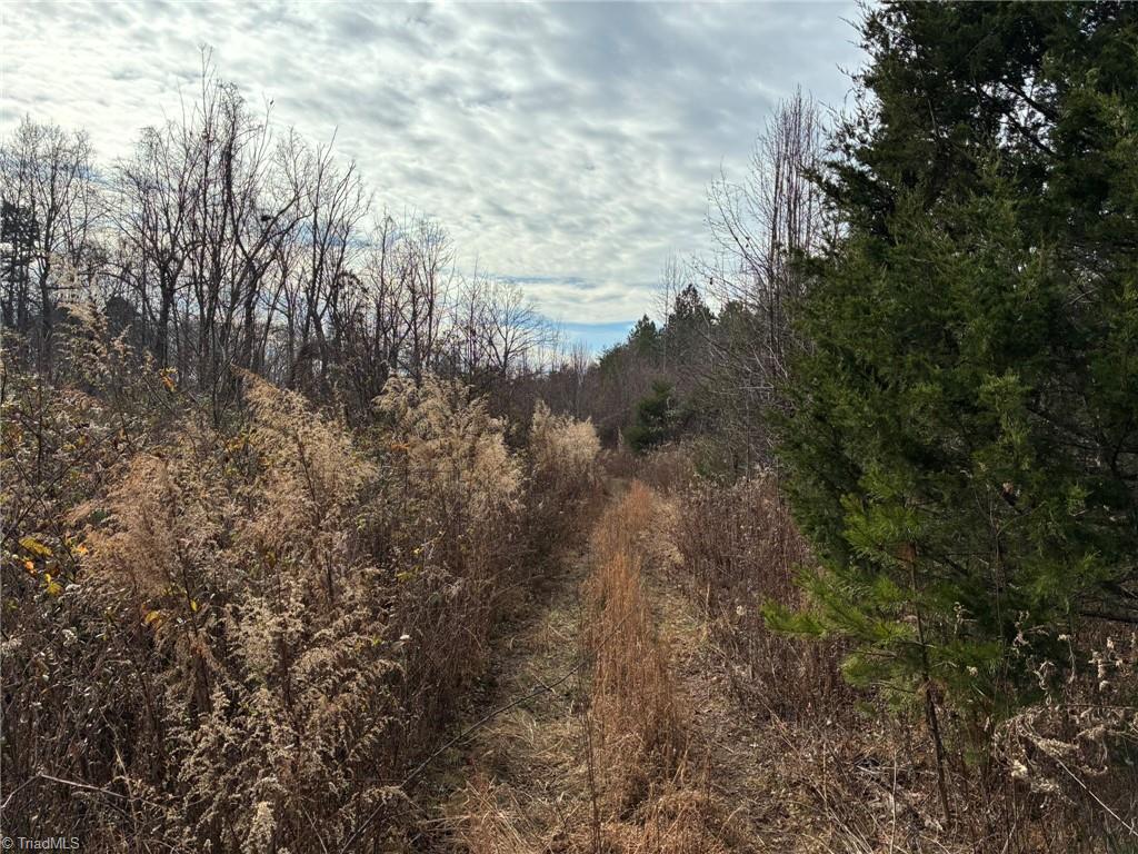 9033 Stack Road Property Photo 8