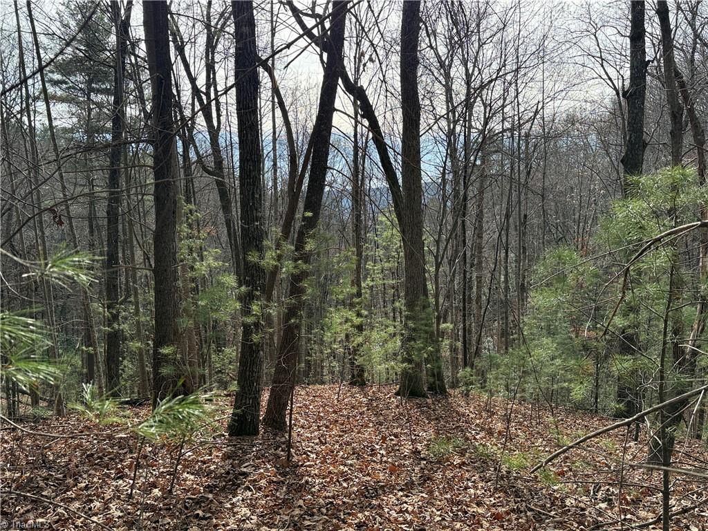 Lot 21 Buck Mountain Road Property Photo 2