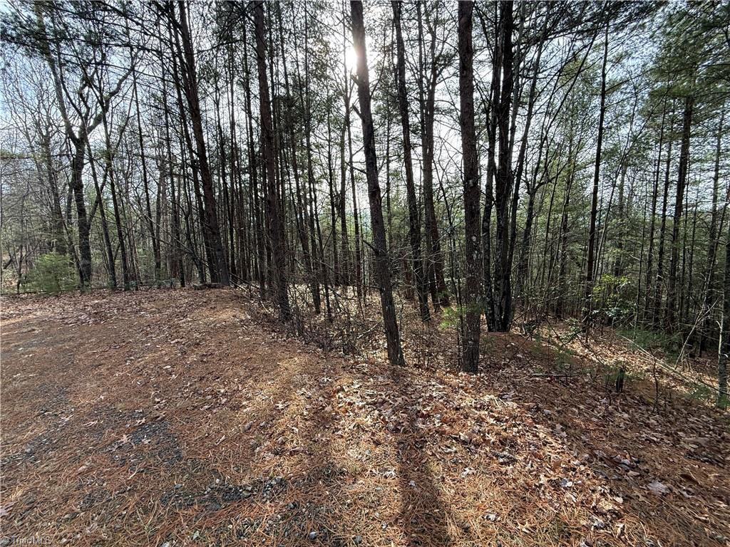 Lot 21 Buck Mountain Road Property Photo 4