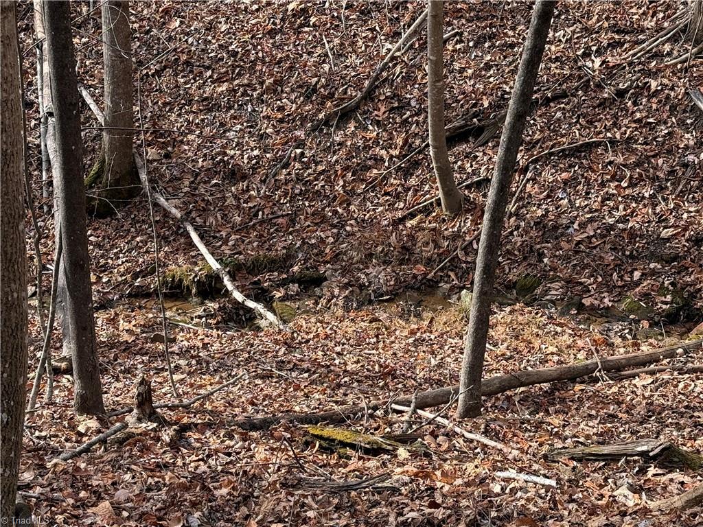 Lot 21 Buck Mountain Road Property Photo 6