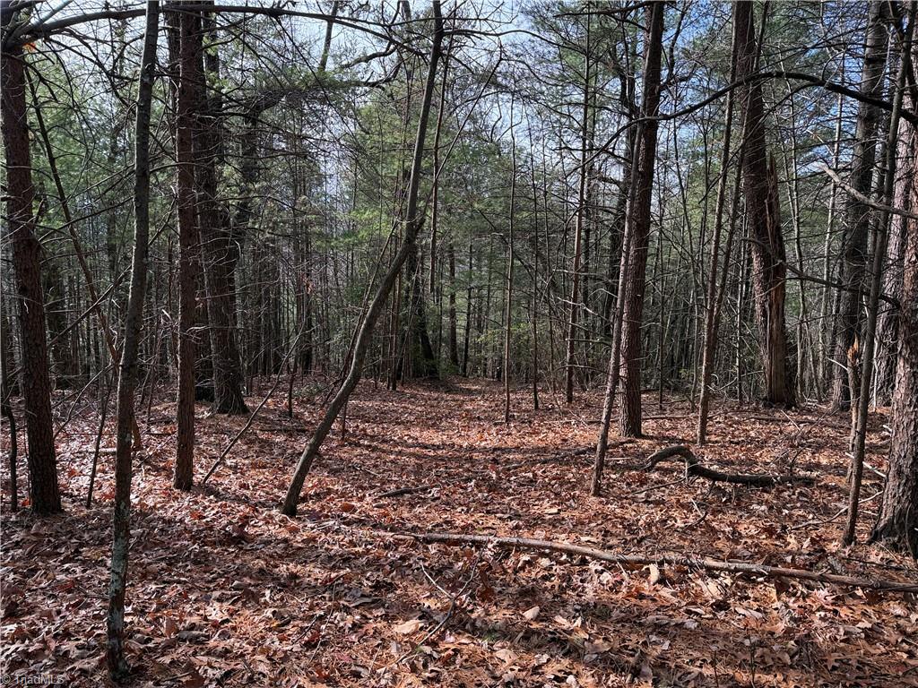 Lot 21 Buck Mountain Road Property Photo 7
